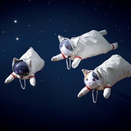 Pennal Astro Cat Black i gruppen Penner / Penntilbehør / Pennal hos Pen Store (137908)