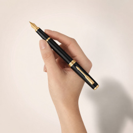 Meridian Matte Black/Gold Reservoar i gruppen Penner / Fine Writing / Eksklusive penner hos Pen Store (138299_r)