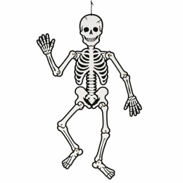 Skjelett selvlysende 120 cm i gruppen Kids / Høytider / sesong for barn / Barnas Halloween hos Pen Store (138370)